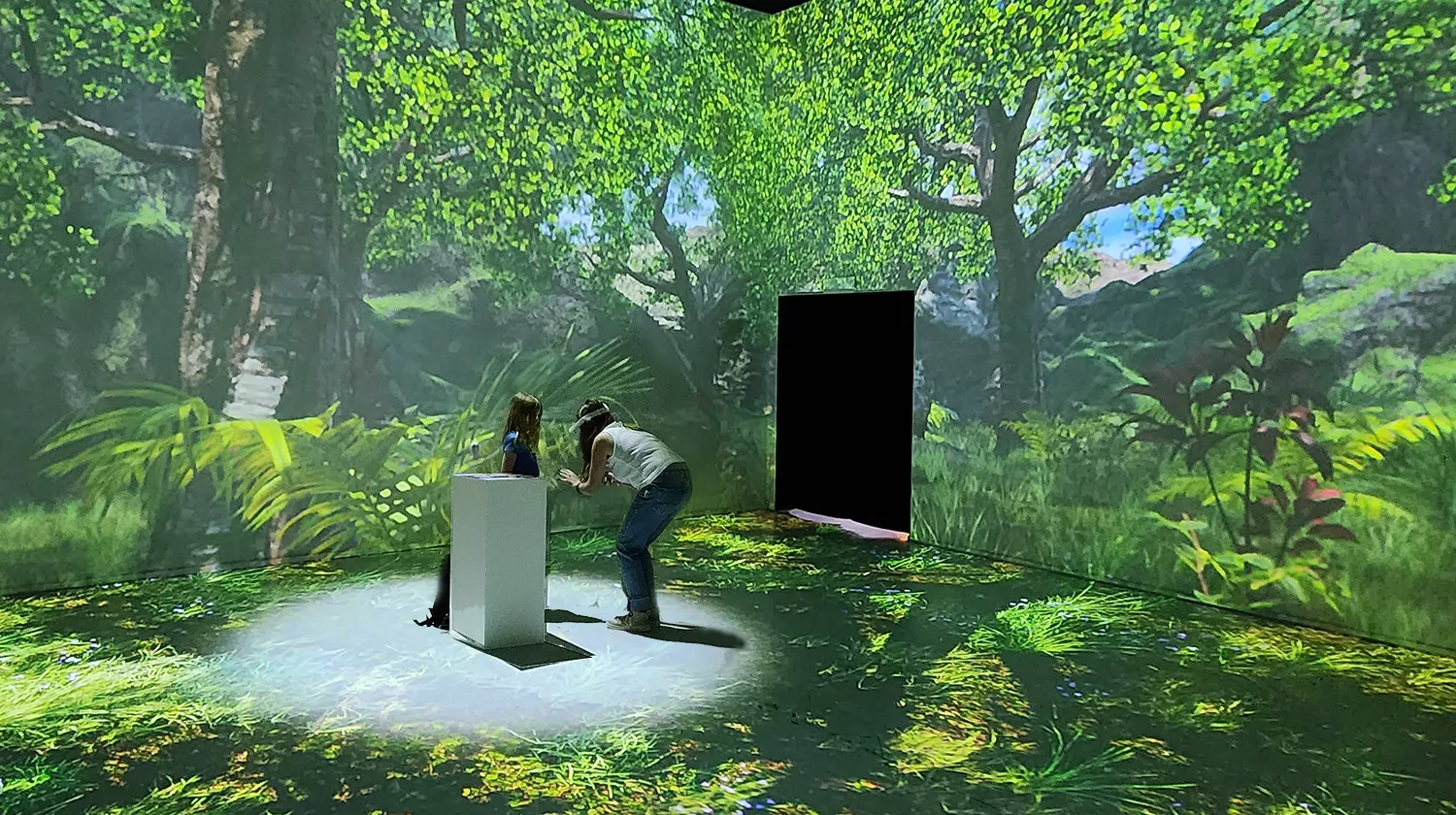 Sustainability Story Experience
