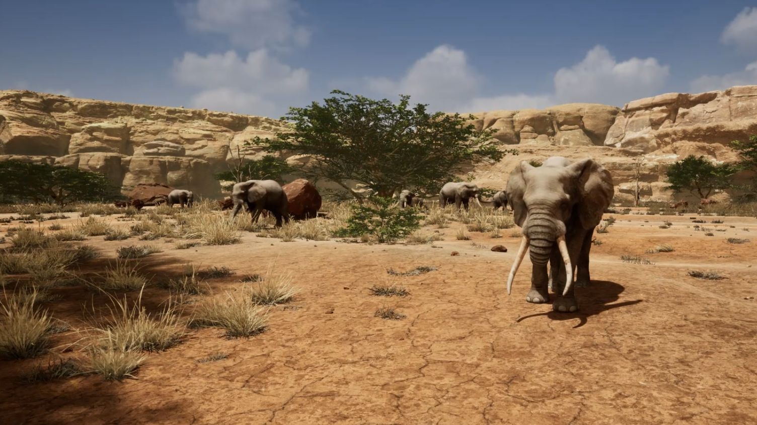 Zoo Of The Future Zoo Of The Future