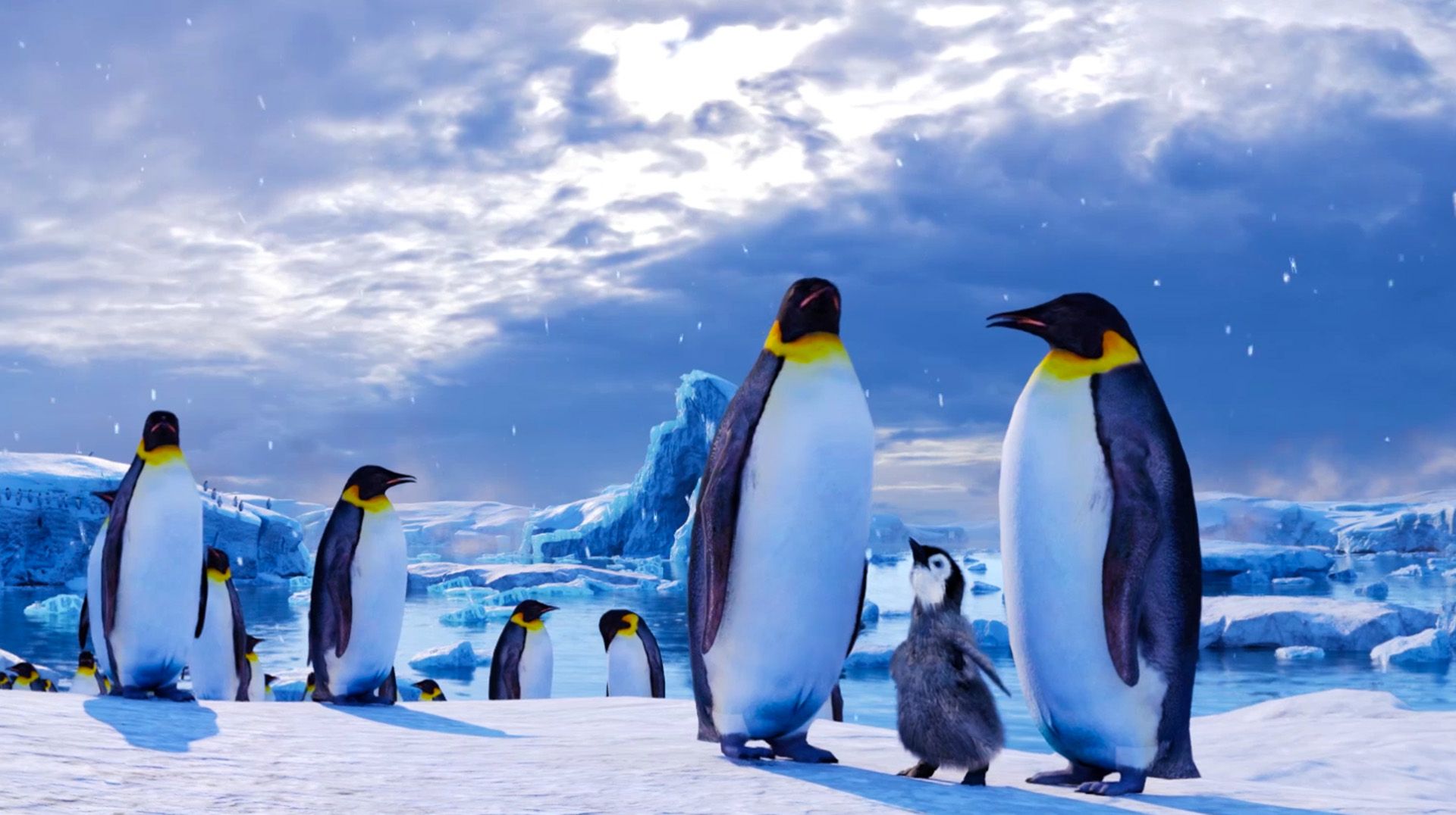 Zoo Of The Future Habitats Antartic Realitymatters Virtual Reality