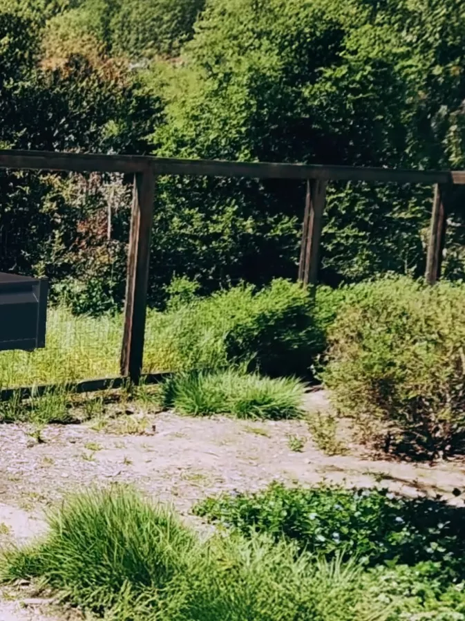 Toro Augmented Reality Header