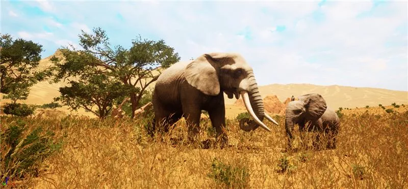 zoo of the future - Elephants
