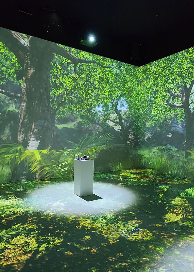 Zoo Of The Future Immersive Room