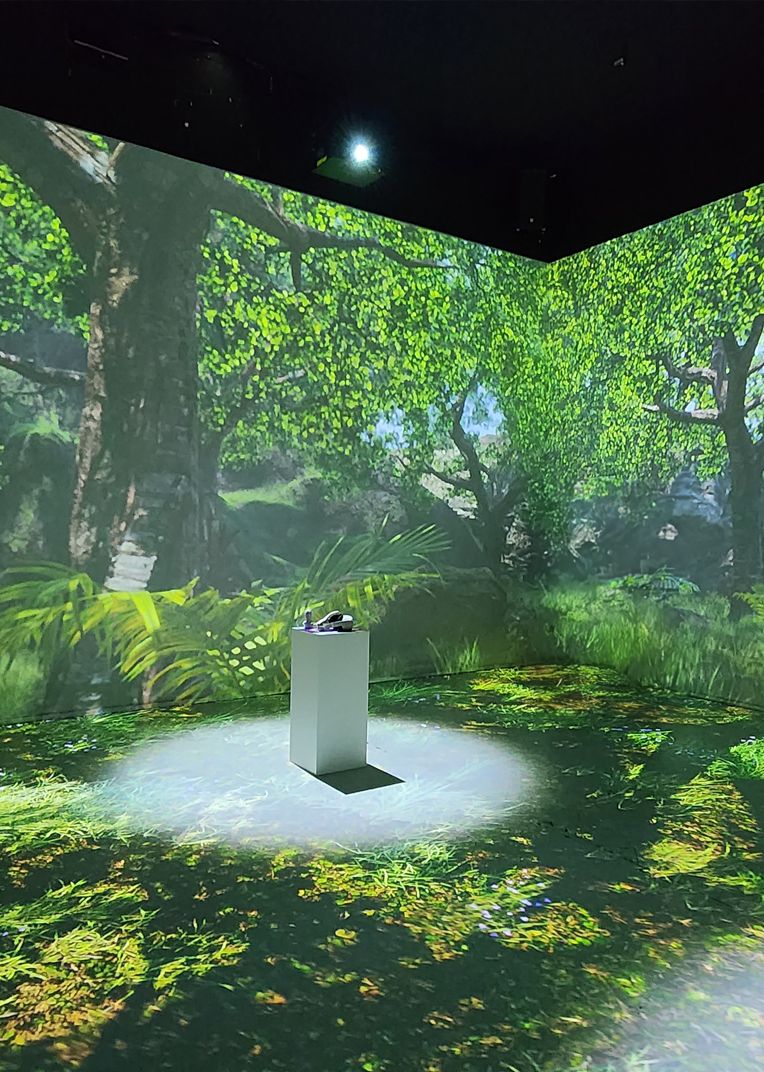 Zoo Of The Future Immersive Room Zoo Of The Future Immersive Room