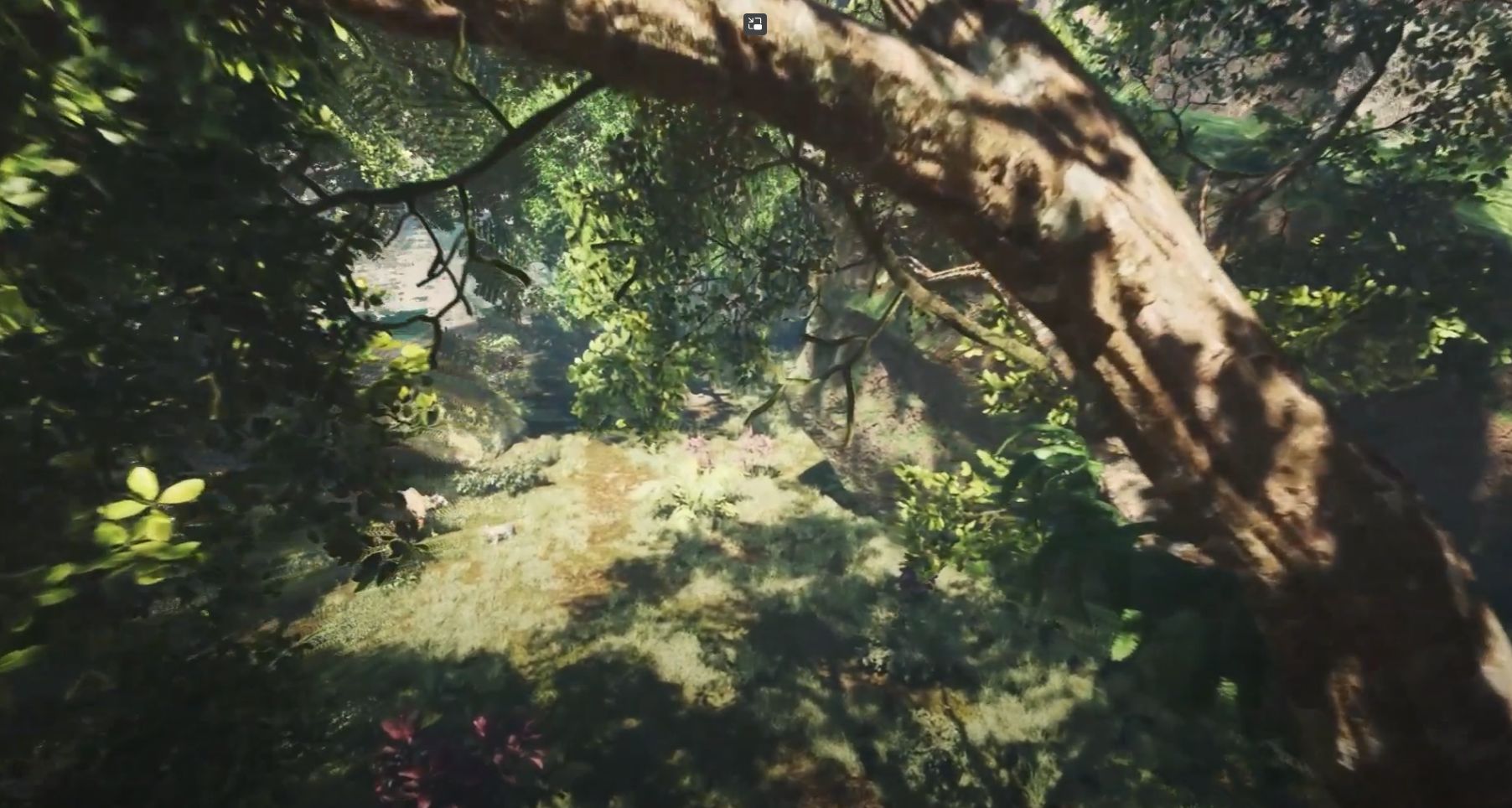 Zoo Of The Future Cover Image