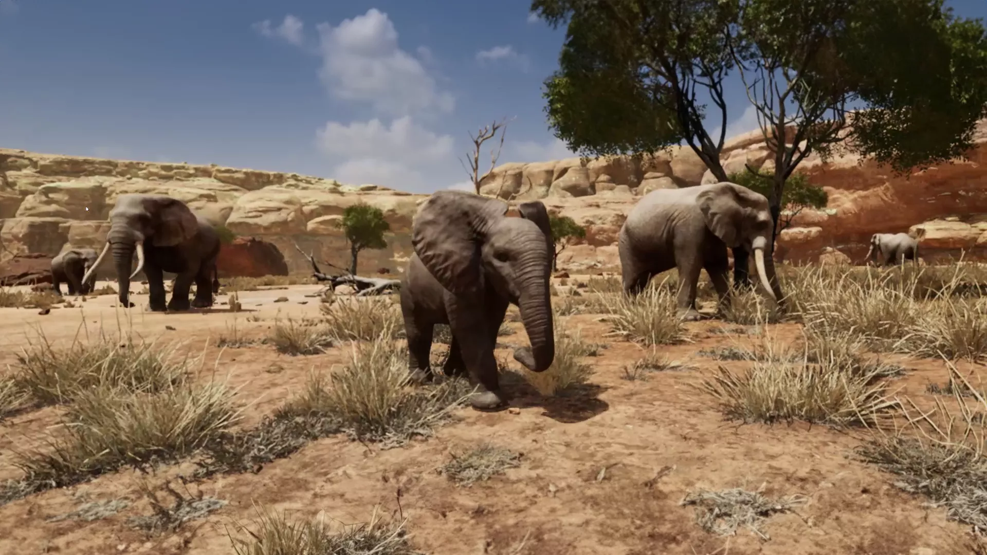Zoo Of The Future 1