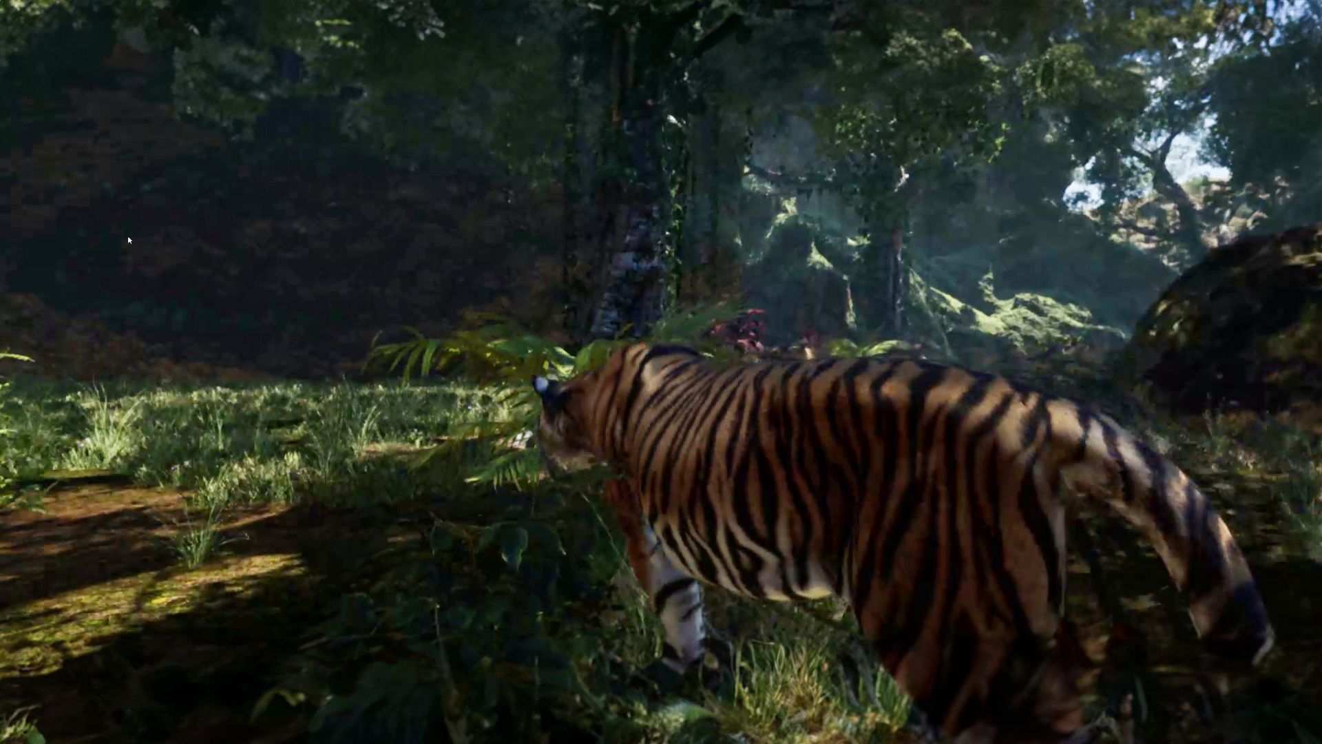 Zoo Of The Future 12